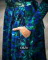 CISZA.png