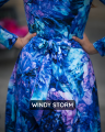 WINDY STORM