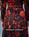 MIEDZIANY ZMIERZCH (1).png